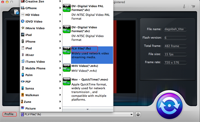 Convert SWF to FLV Convert SWF to FLV
